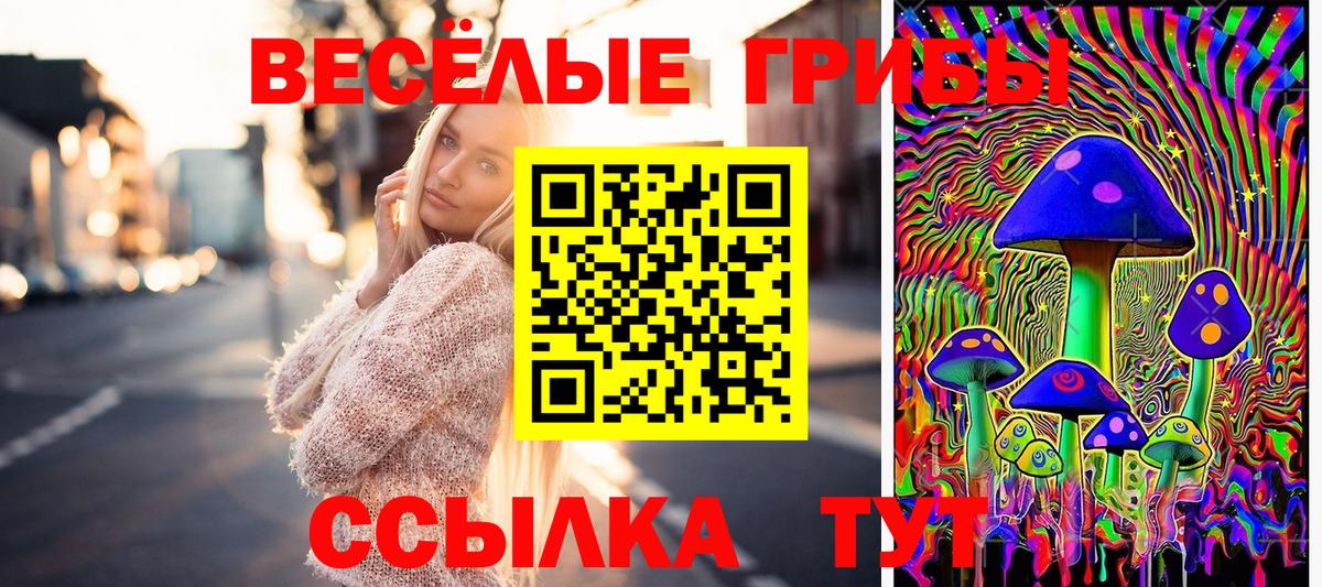 Малгобек  Псилоцибиновые грибы прущие грибы  Вход с VPN 